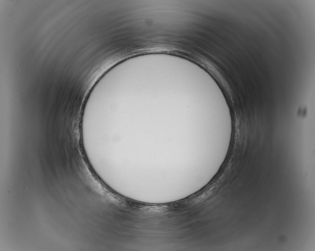 X0000111390810200907100959