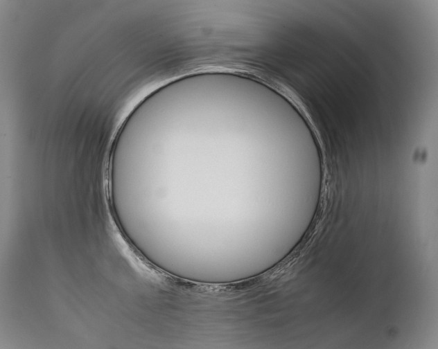 X0000111390811200907100959