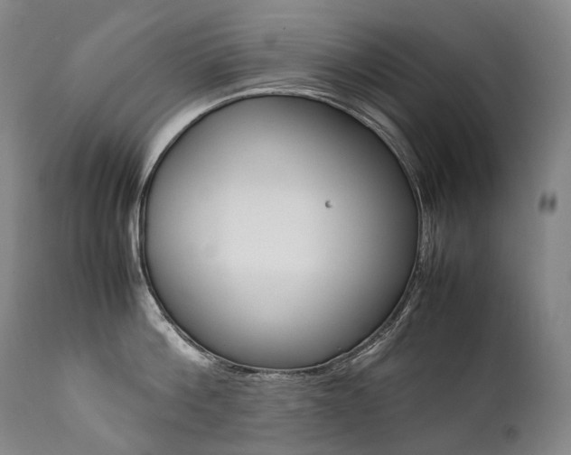 X0000111390812200907100959