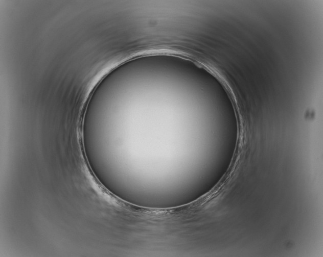 X0000111390813200907100959