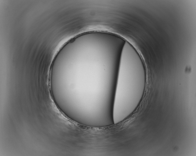 X0000111390815200907100959