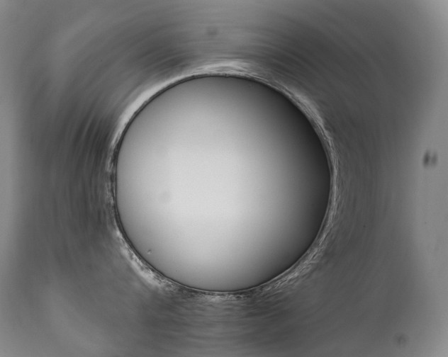 X0000111390816200907100959