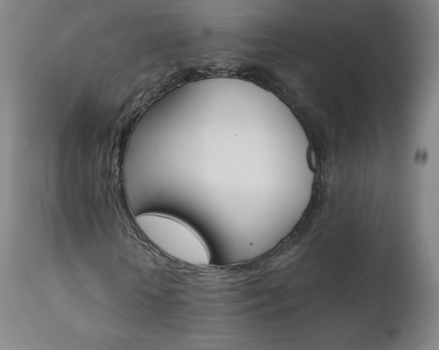 X0000111390818200907100958