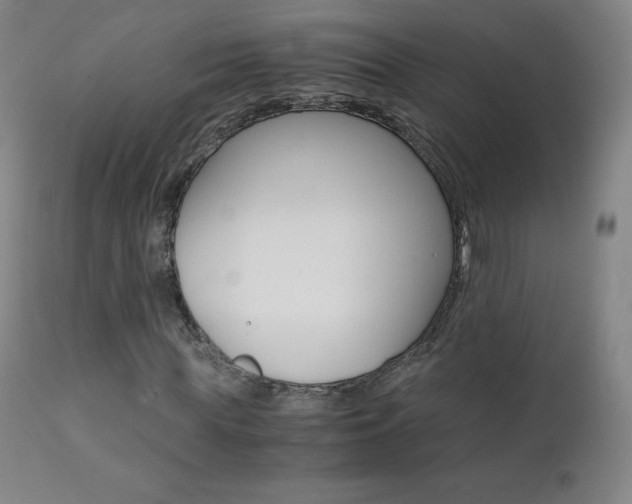X0000111390819200907100958