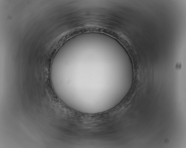X0000111390821200907100958