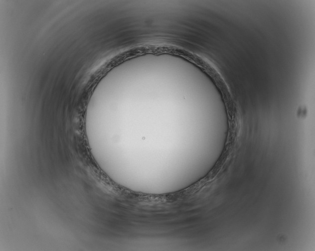 X0000111390823200907100958