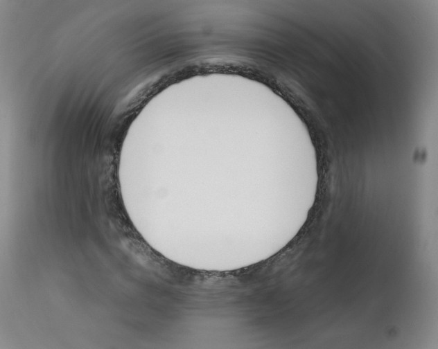 X0000111390824200907100958
