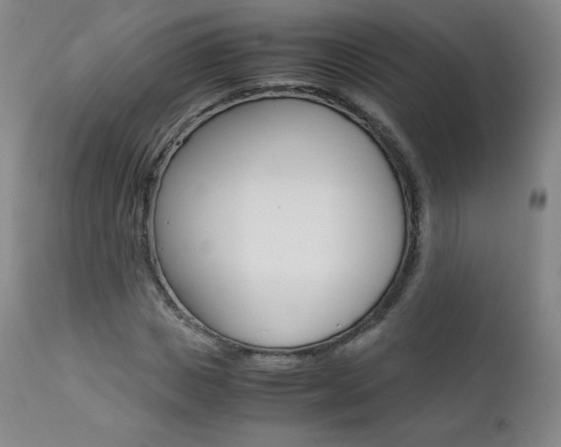 X0000111390825200907100958