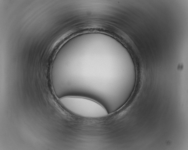 X0000111390826200907100958