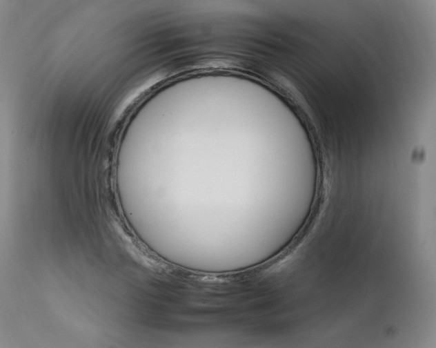 X0000111390827200907100958