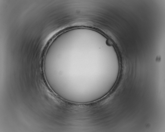 X0000111390830200907100958
