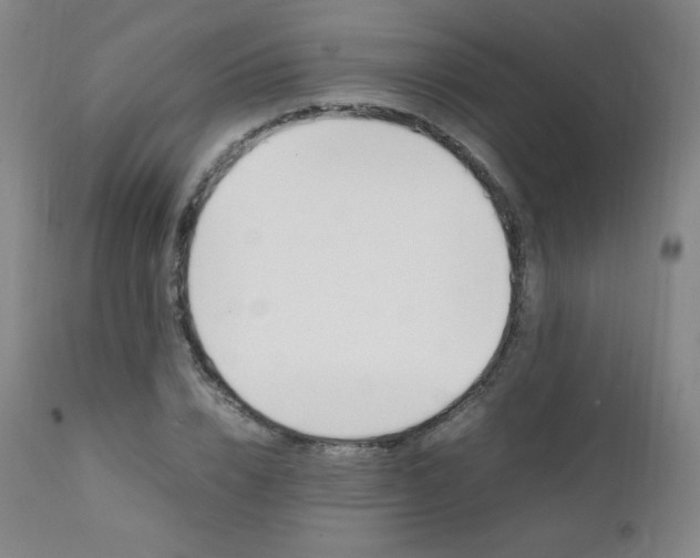 X0000111390832200907100959