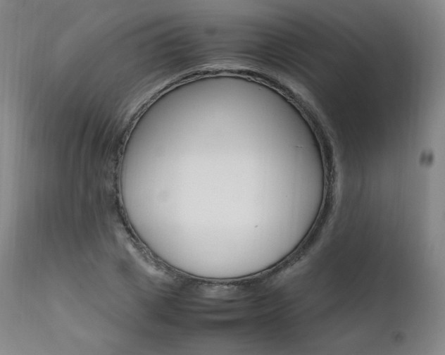 X0000111390833200907100959