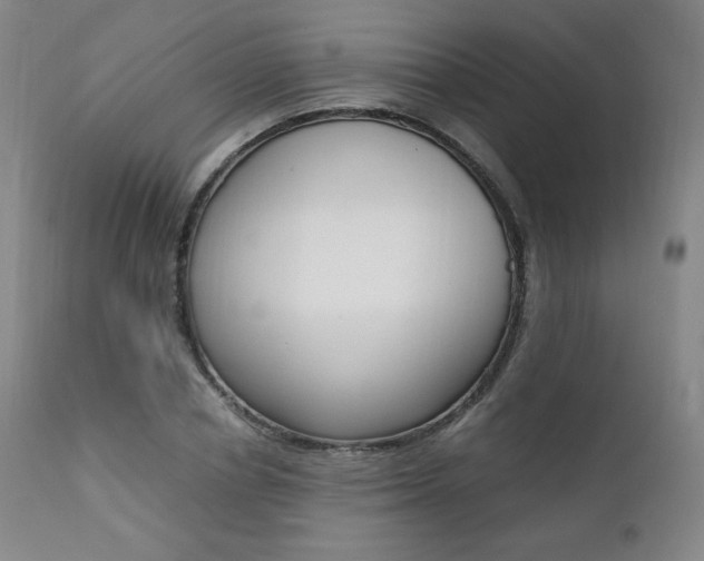 X0000111390834200907100959