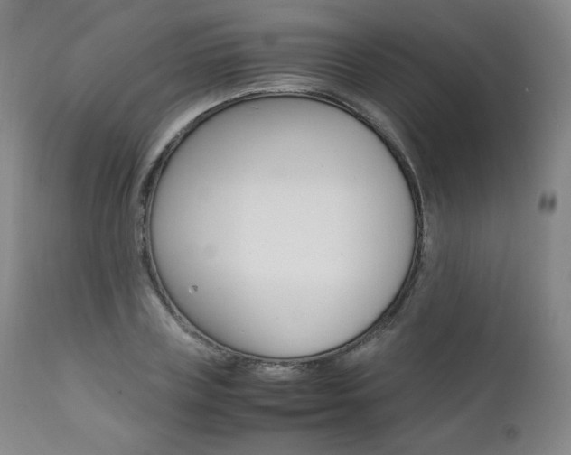 X0000111390835200907100959