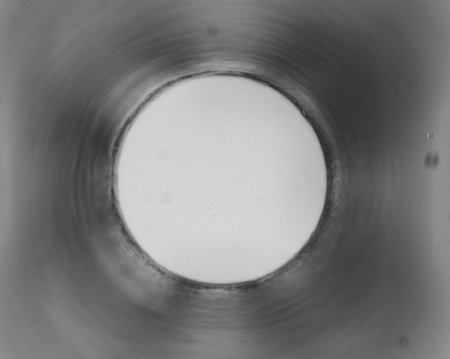 X0000111390836200907100959