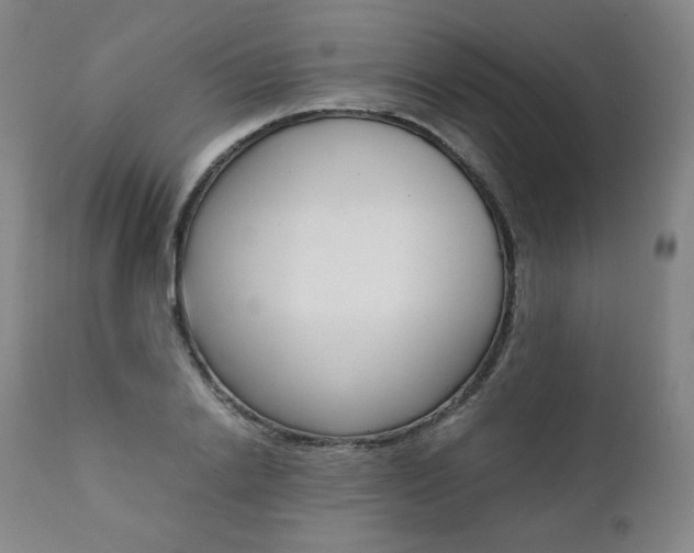 X0000111390838200907100959
