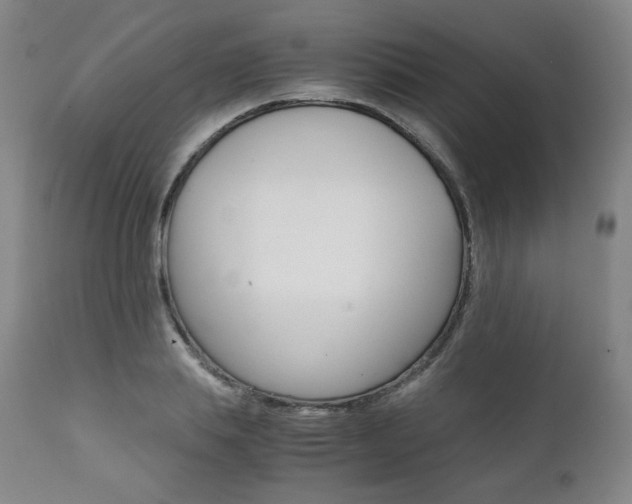X0000111390839200907100959