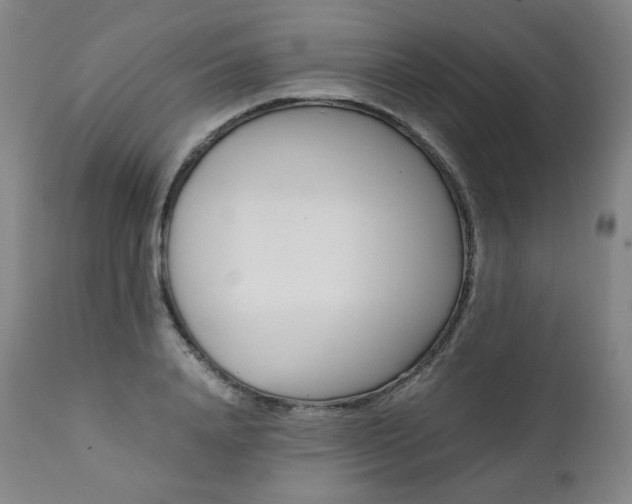 X0000111390840200907100959