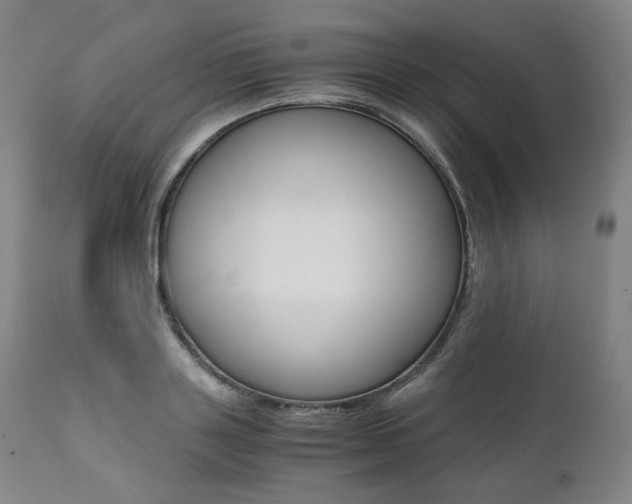X0000111390843200907100959