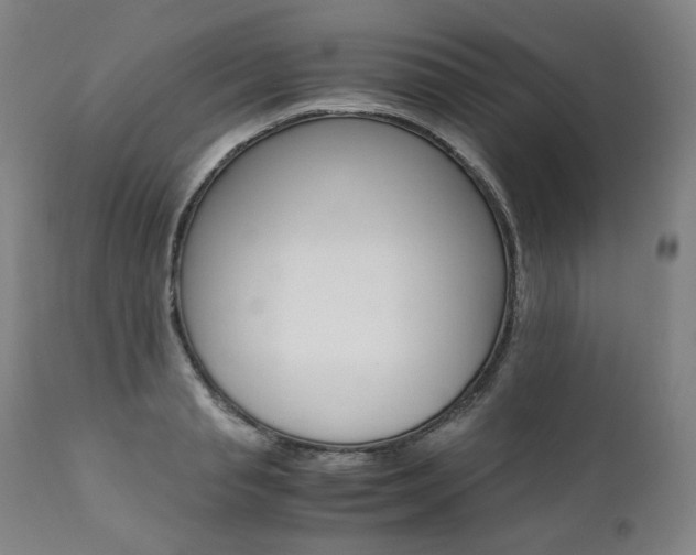 X0000111390845200907100959