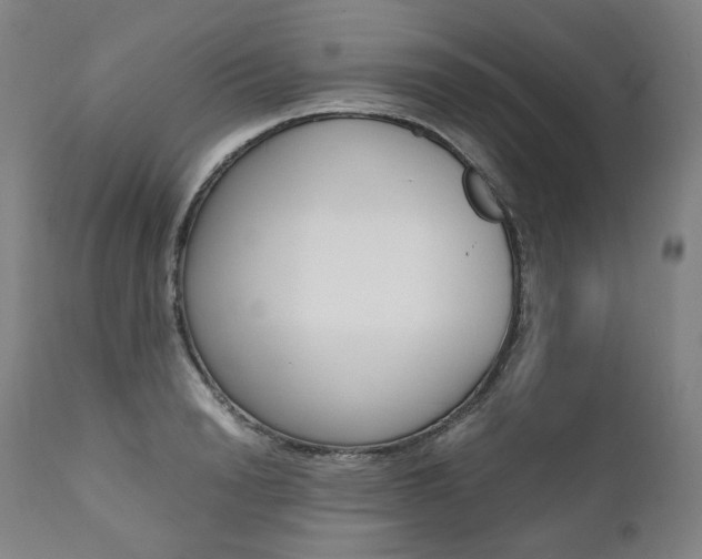 X0000111390846200907100959