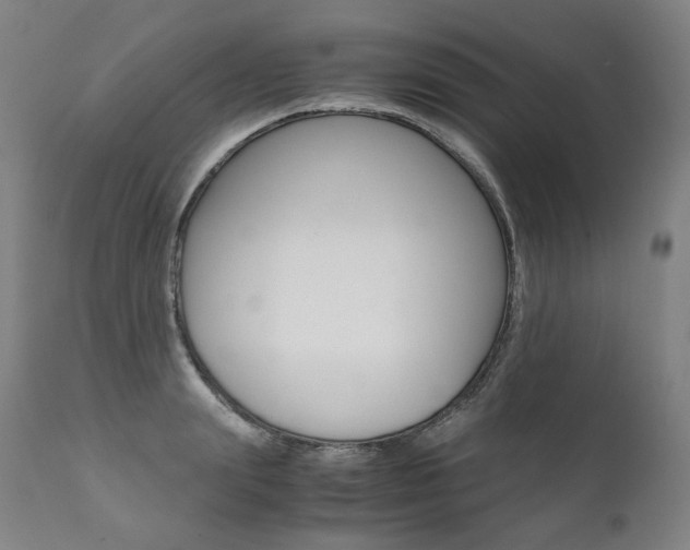 X0000111390847200907100959