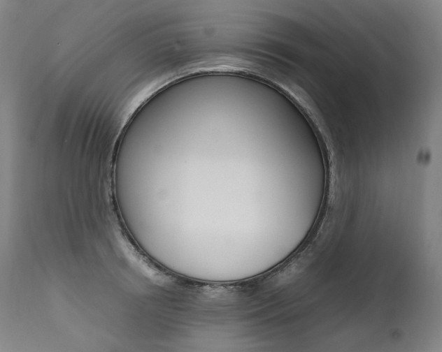 X0000111390850200907100959