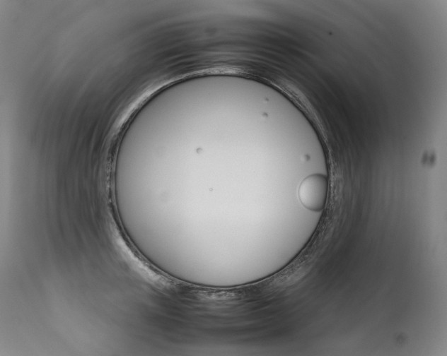 X0000111390851200907100959