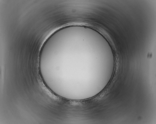 X0000111390852200907100959