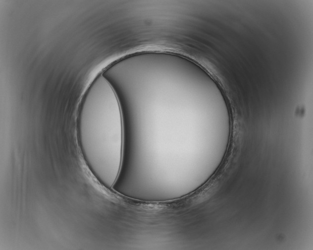 X0000111390854200907100959