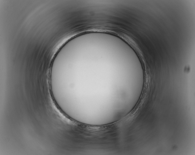 X0000111390855200907100959