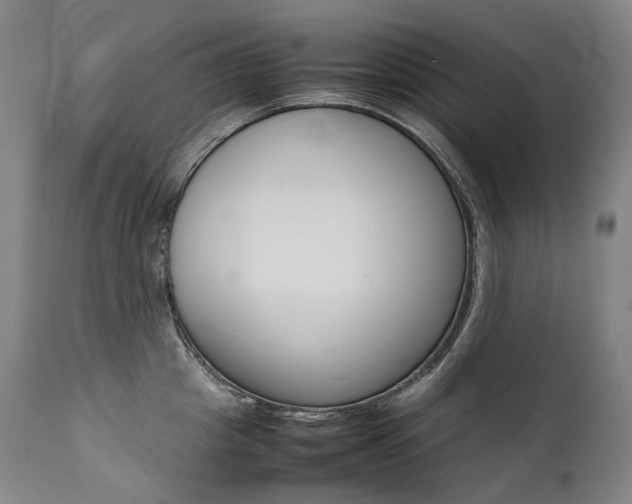 X0000111390857200907100959