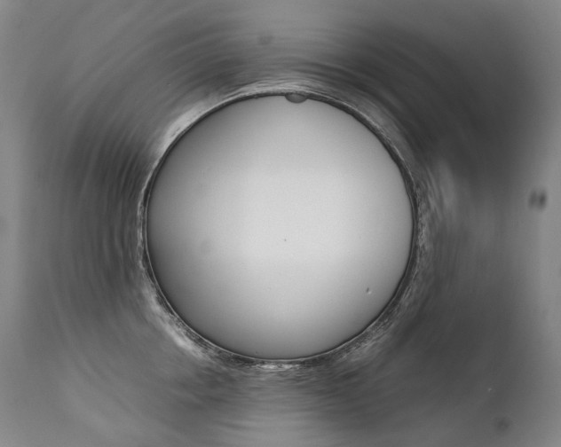 X0000111390858200907100959