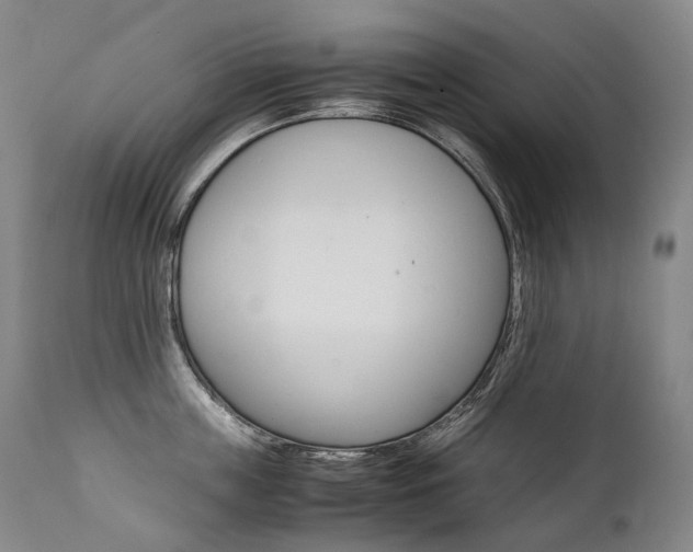 X0000111390859200907100959