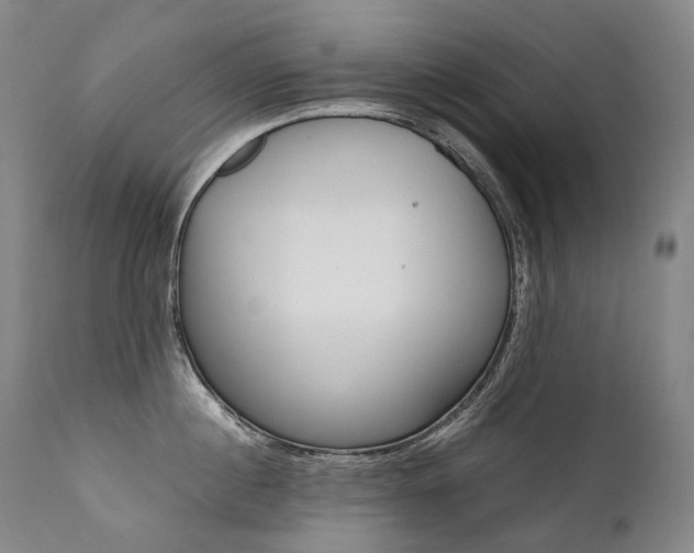 X0000111390860200907100959