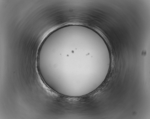 X0000111390861200907100959