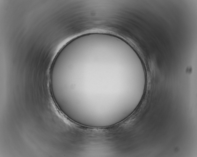 X0000111390862200907100959