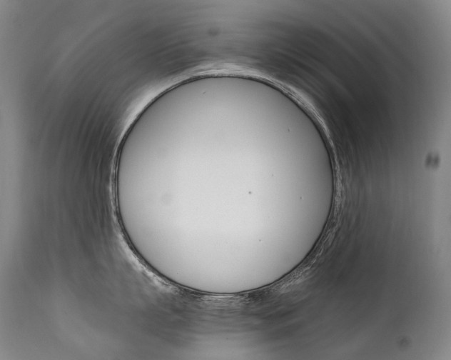 X0000111390863200907100959
