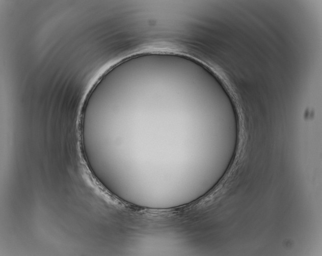 X0000111390864200907100959