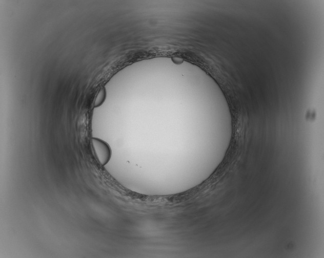 X0000111390866200907100958