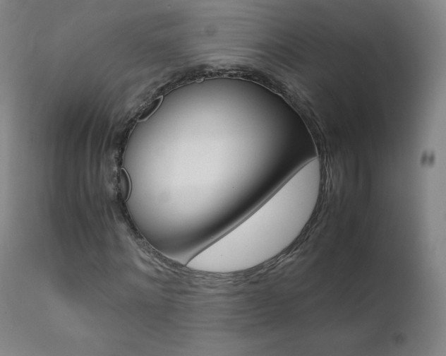 X0000111390868200907100958