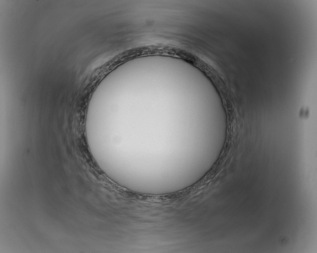 X0000111390869200907100958
