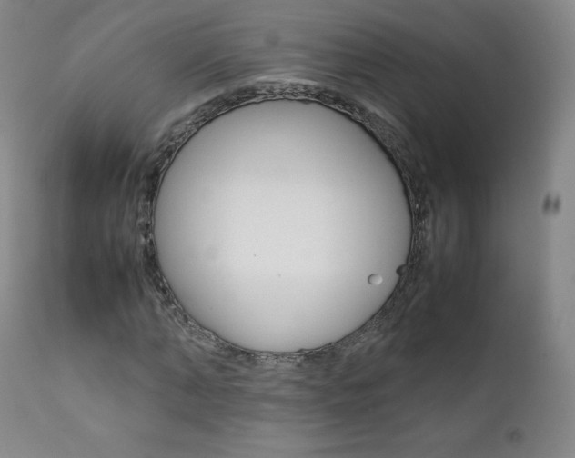 X0000111390870200907100958