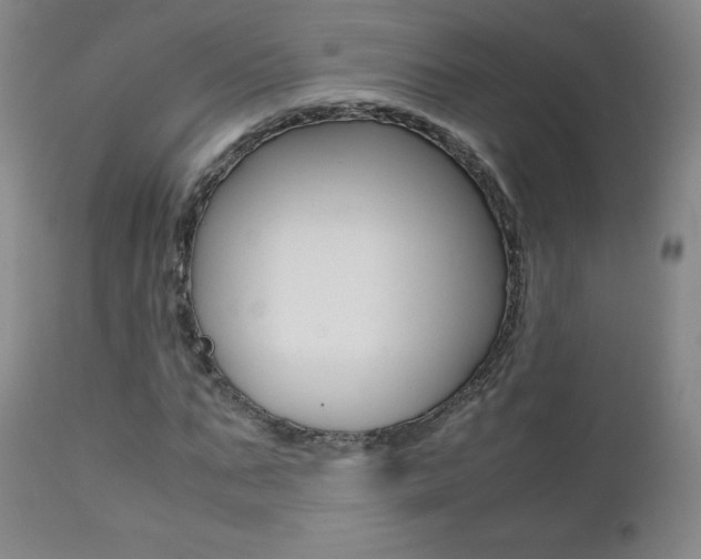 X0000111390871200907100958