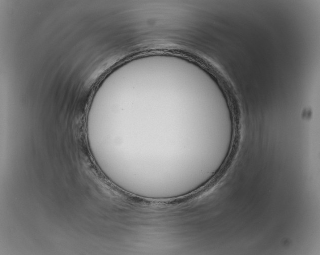 X0000111390873200907100958