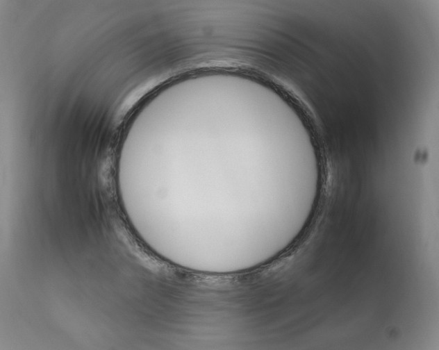 X0000111390874200907100958