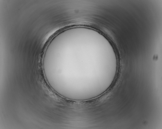 X0000111390875200907100958