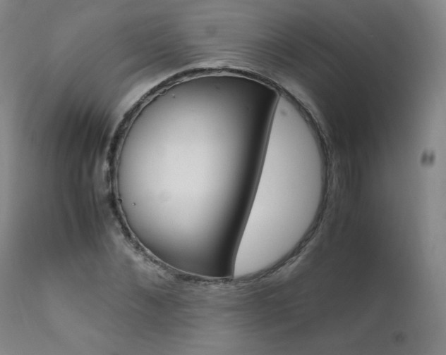 X0000111390876200907100958