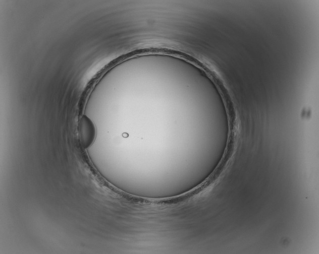 X0000111390877200907100958